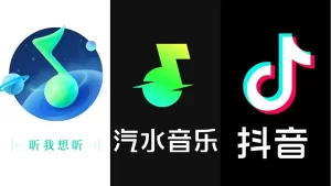 汽水音乐能否将歌曲分享至微信？功能详解与实用指南 